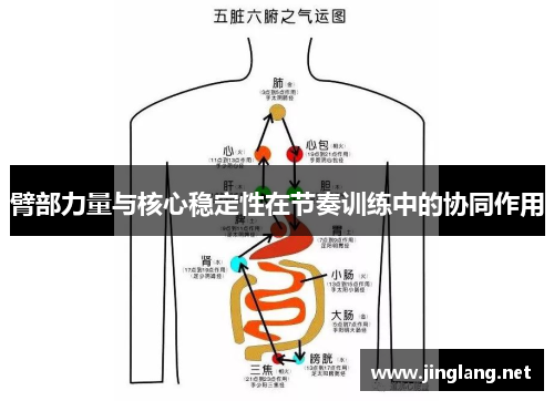 臂部力量与核心稳定性在节奏训练中的协同作用